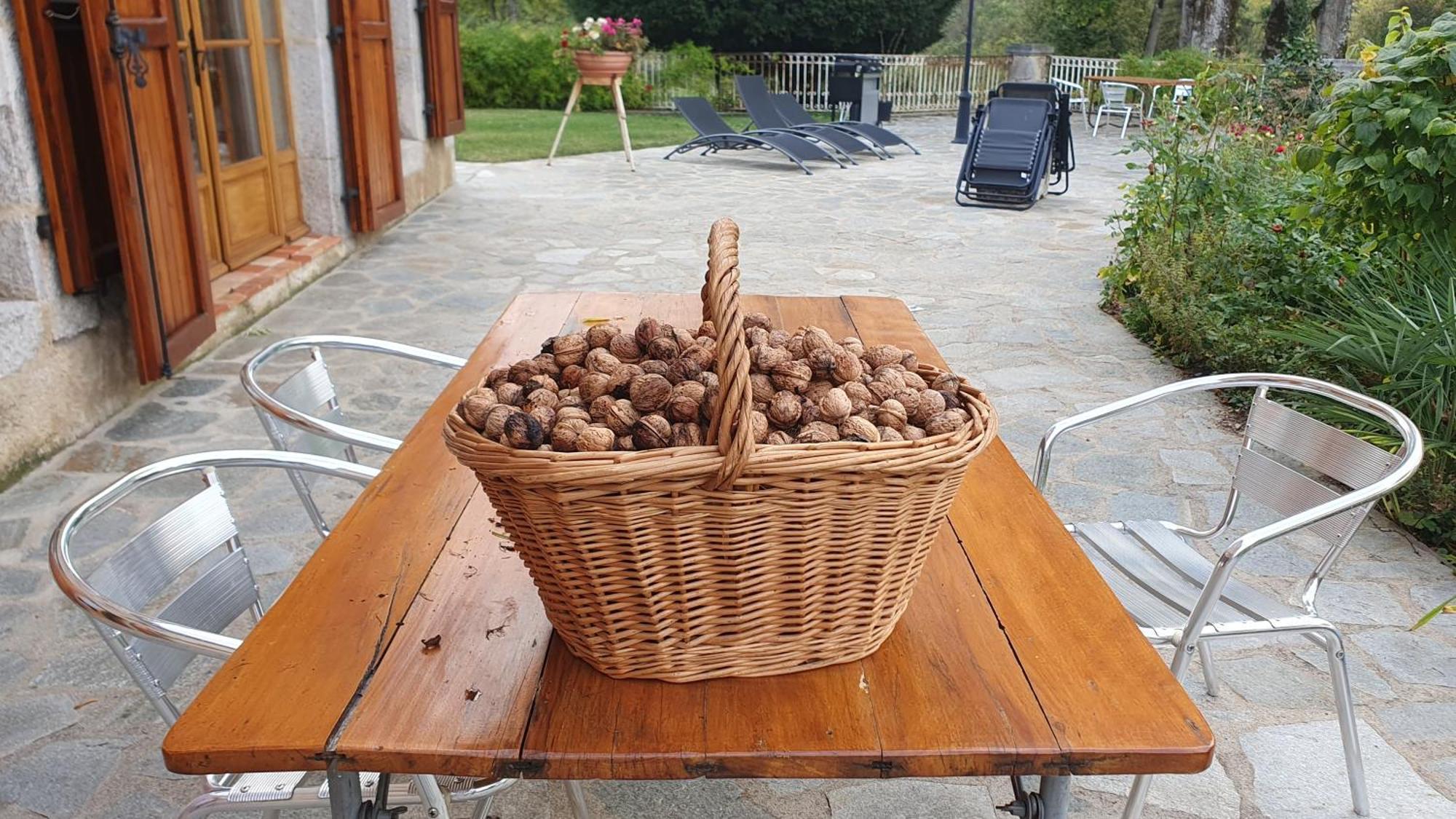 Domaine De Montvianeix Bed & Breakfast Saint-Victor-Montvianeix Екстериор снимка