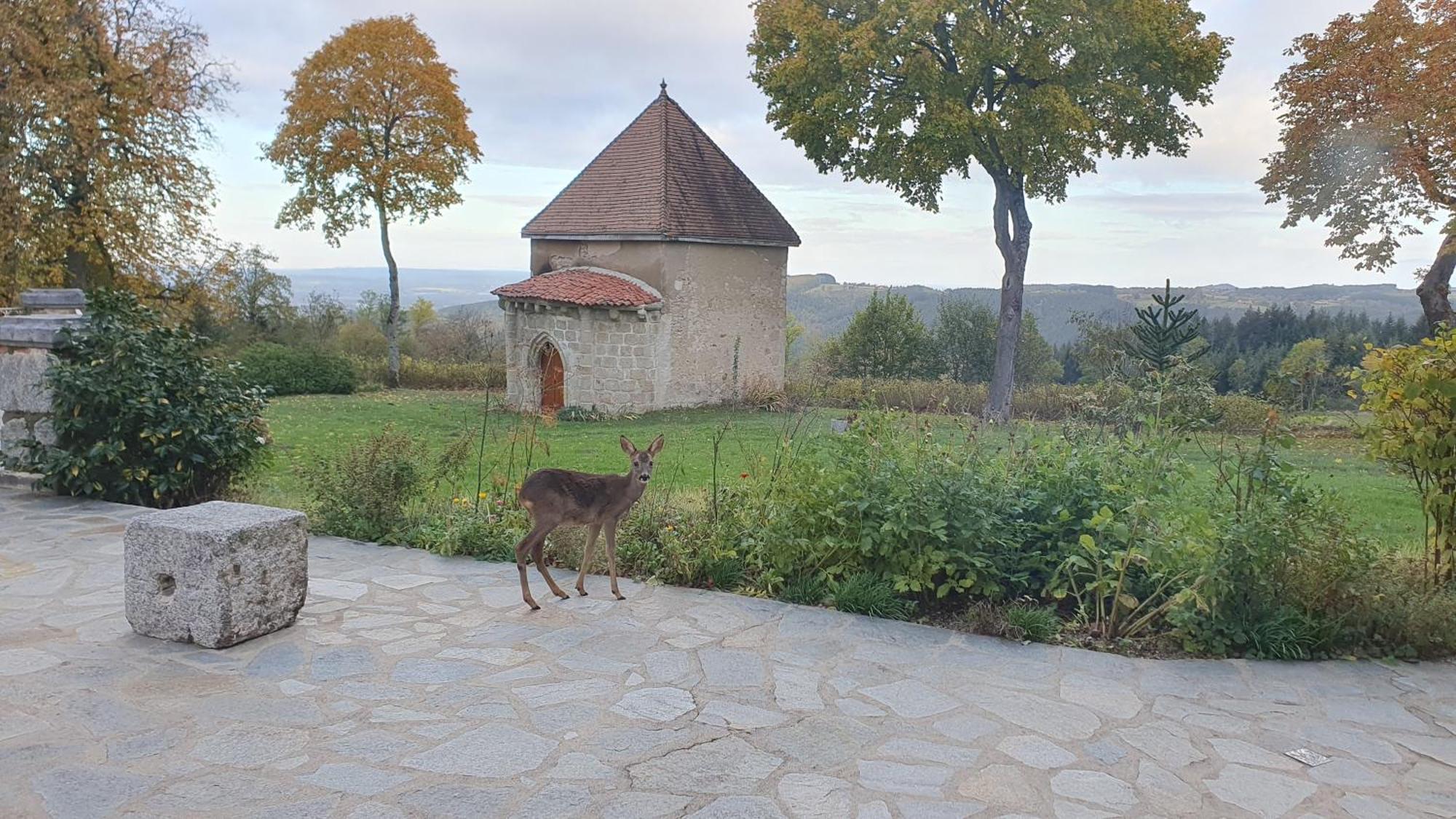 Domaine De Montvianeix Bed & Breakfast Saint-Victor-Montvianeix Екстериор снимка
